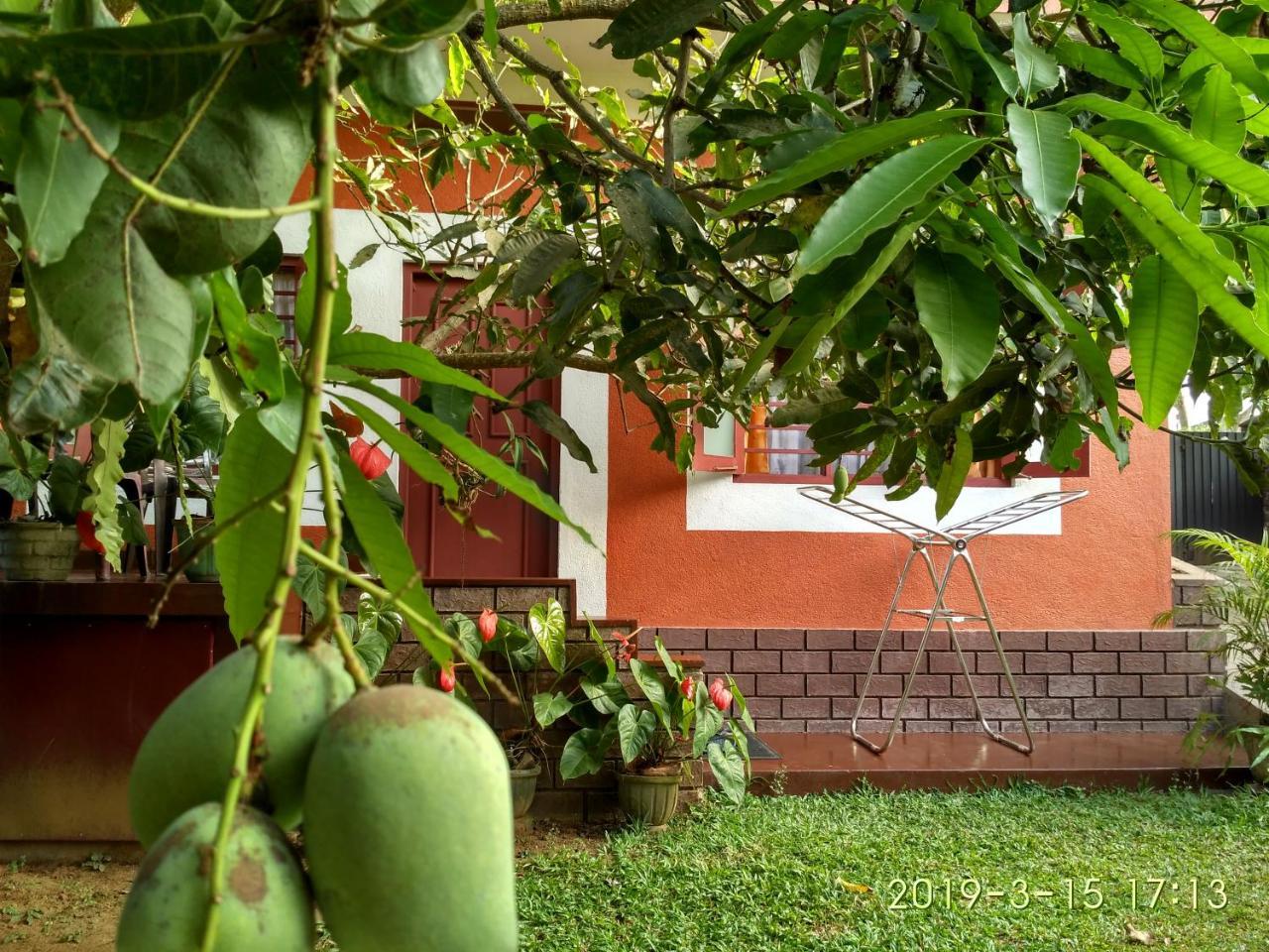 Nilas Guesthouse Hikkaduwa Esterno foto